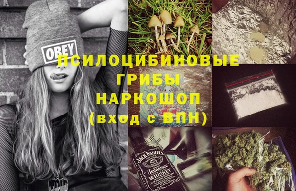 шишки Фурманов