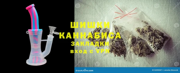 прущие грибы Чегем