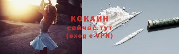 шишки Фурманов