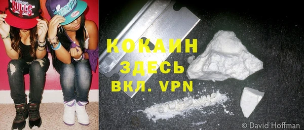 шишки Фурманов