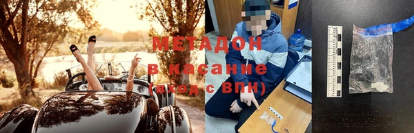 прущие грибы Чегем