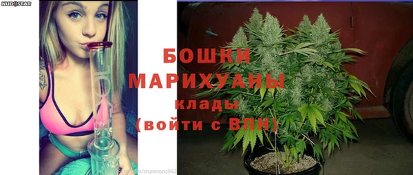 прущие грибы Чегем