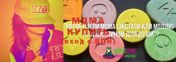 прущие грибы Чегем