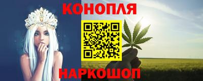 тгк Гай