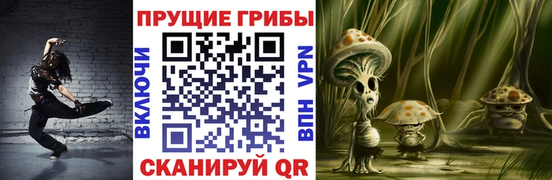 Галлюциногенные грибы Psilocybine cubensis Ефремов