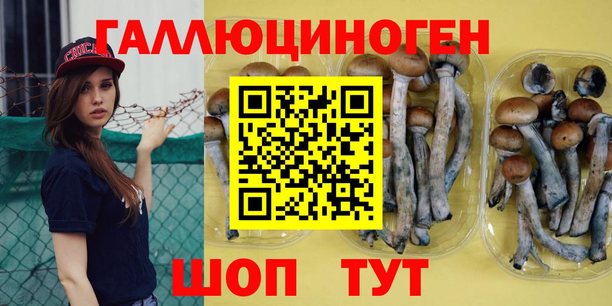 Галлюциногенные грибы MAGIC MUSHROOMS  Псилоцибиновые грибы прущие грибы  Ефремов 