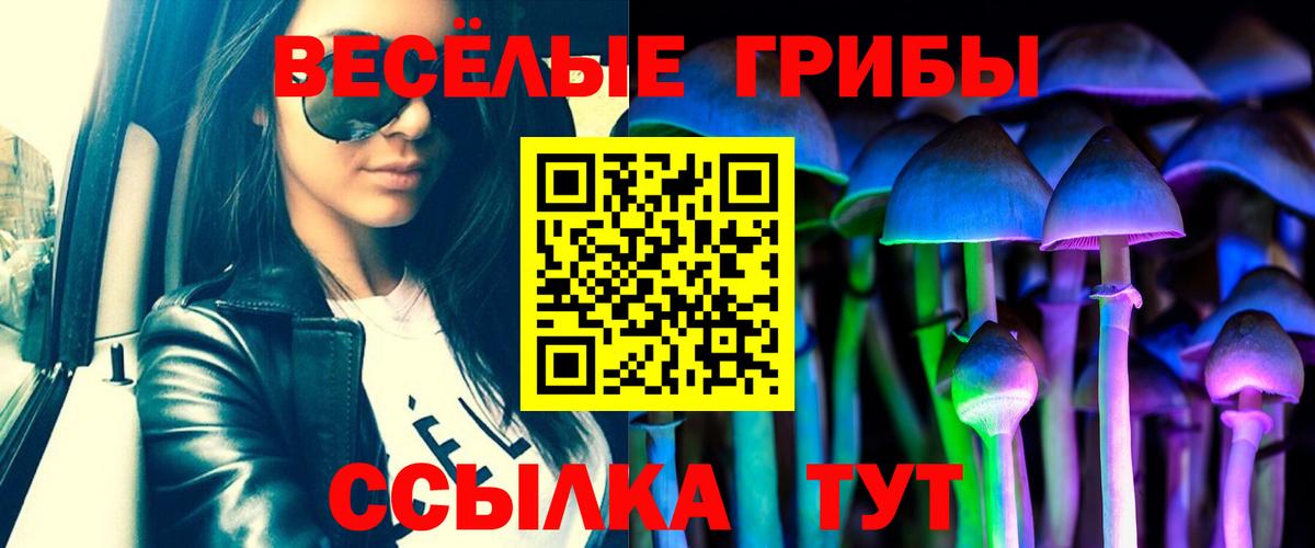 Галлюциногенные грибы GOLDEN TEACHER Ефремов