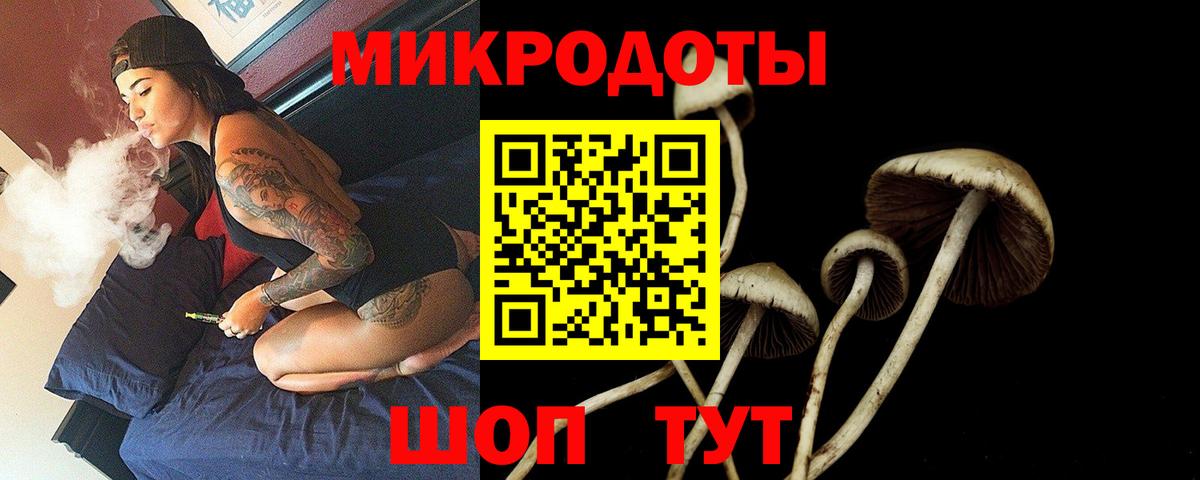 Ефремов  Галлюциногенные грибы Psilocybine cubensis  Вход с VPN 