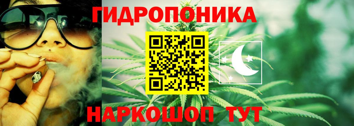 Марихуана гибрид  МАРИХУАНА планчик  Ефремов  Канабис OG Kush 